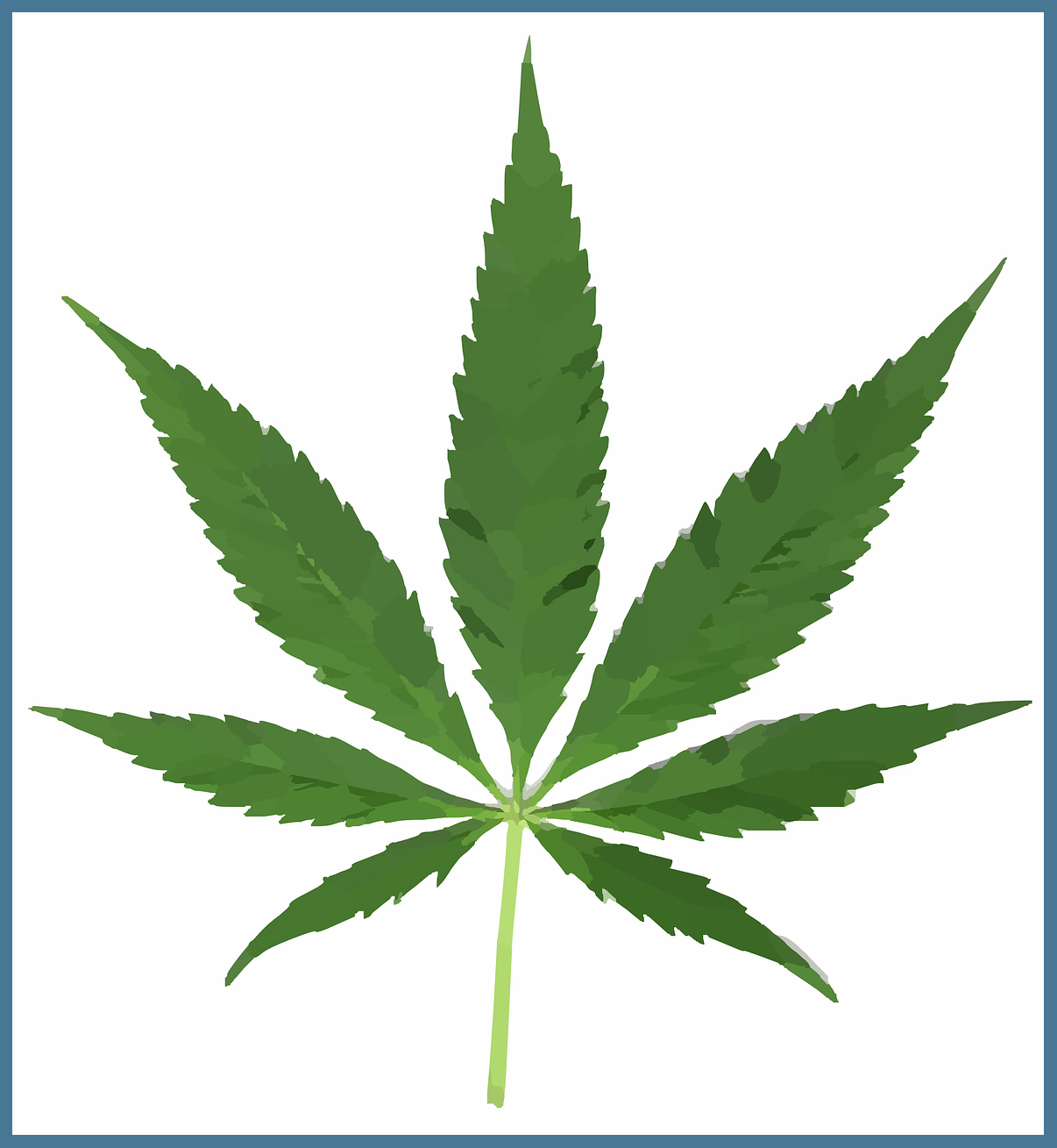Marijuana Graphic