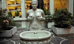 Keeping Abreast of Athletics