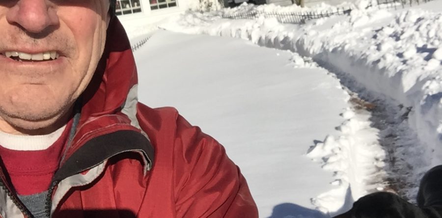 Stay Alive Shoveling Snow