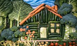 Evolution of a Flexivore