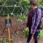 Poisons and Medicines – Not So Different
